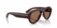 Gafas de sol Ray-Ban WAYFARER PUFFER 0RB4925 52 689673 - 0RB4925 52 689673